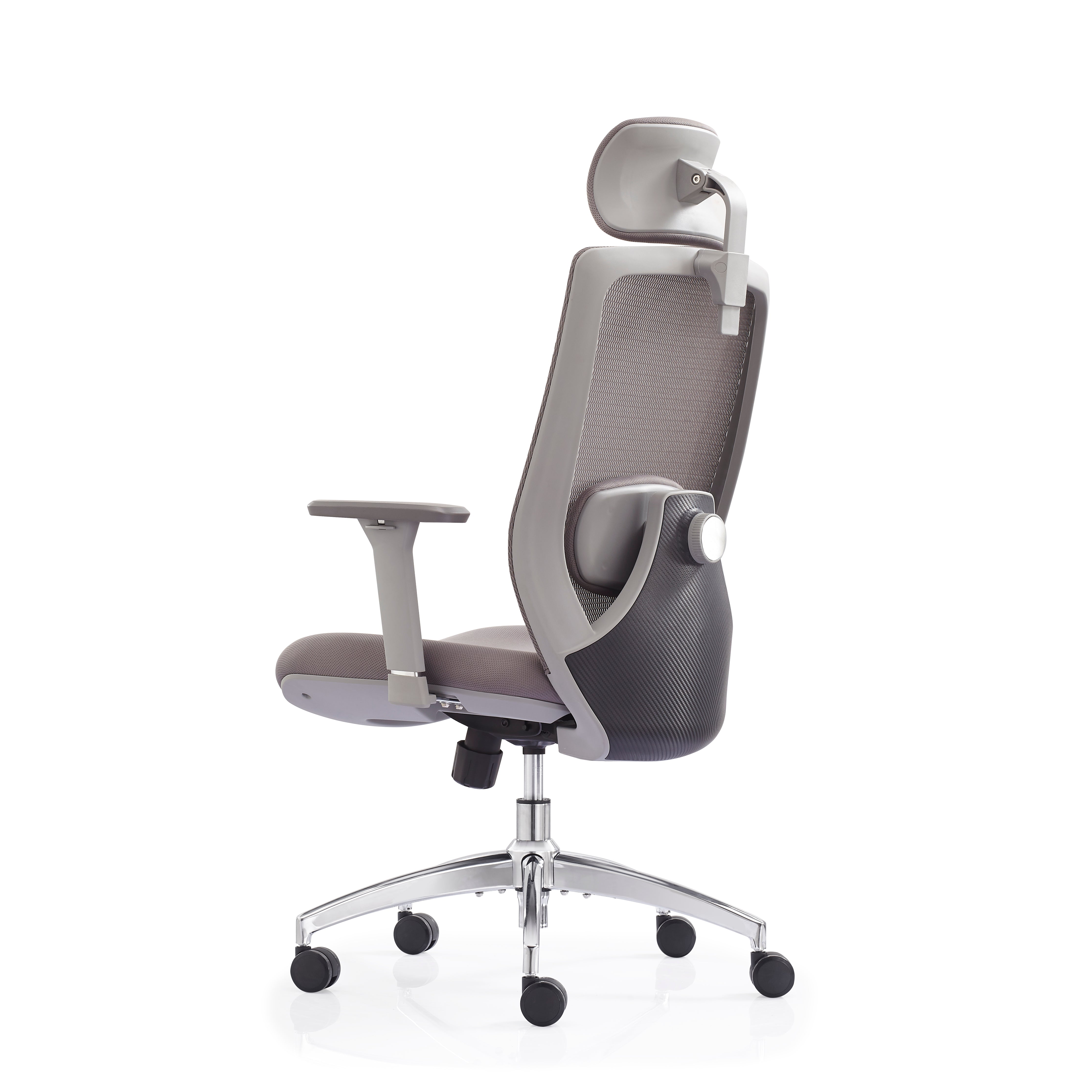 JOHOOFURNITURE Electroplated Removable Base 2D Function Lumbar Support Mesh Chair V6-H08
