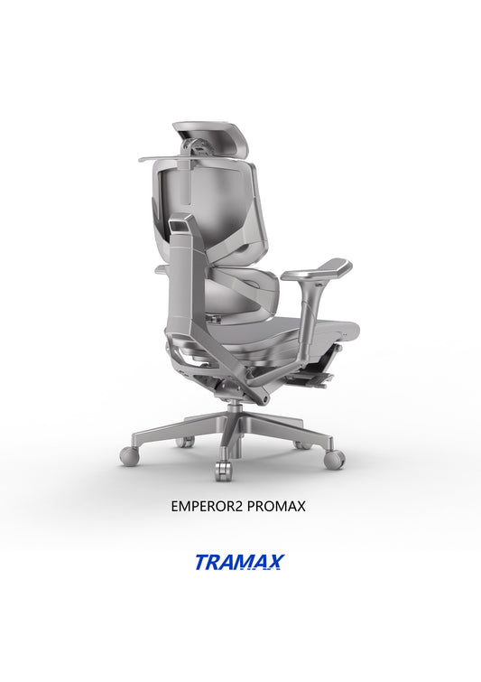 Ergomax Ergonomic High End quality mesh chair BIFMA test EMP2 Promax