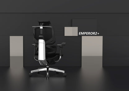 Ergomax Ergonomic Own Pattern Mesh chair BIFMA test EMPEROR2+