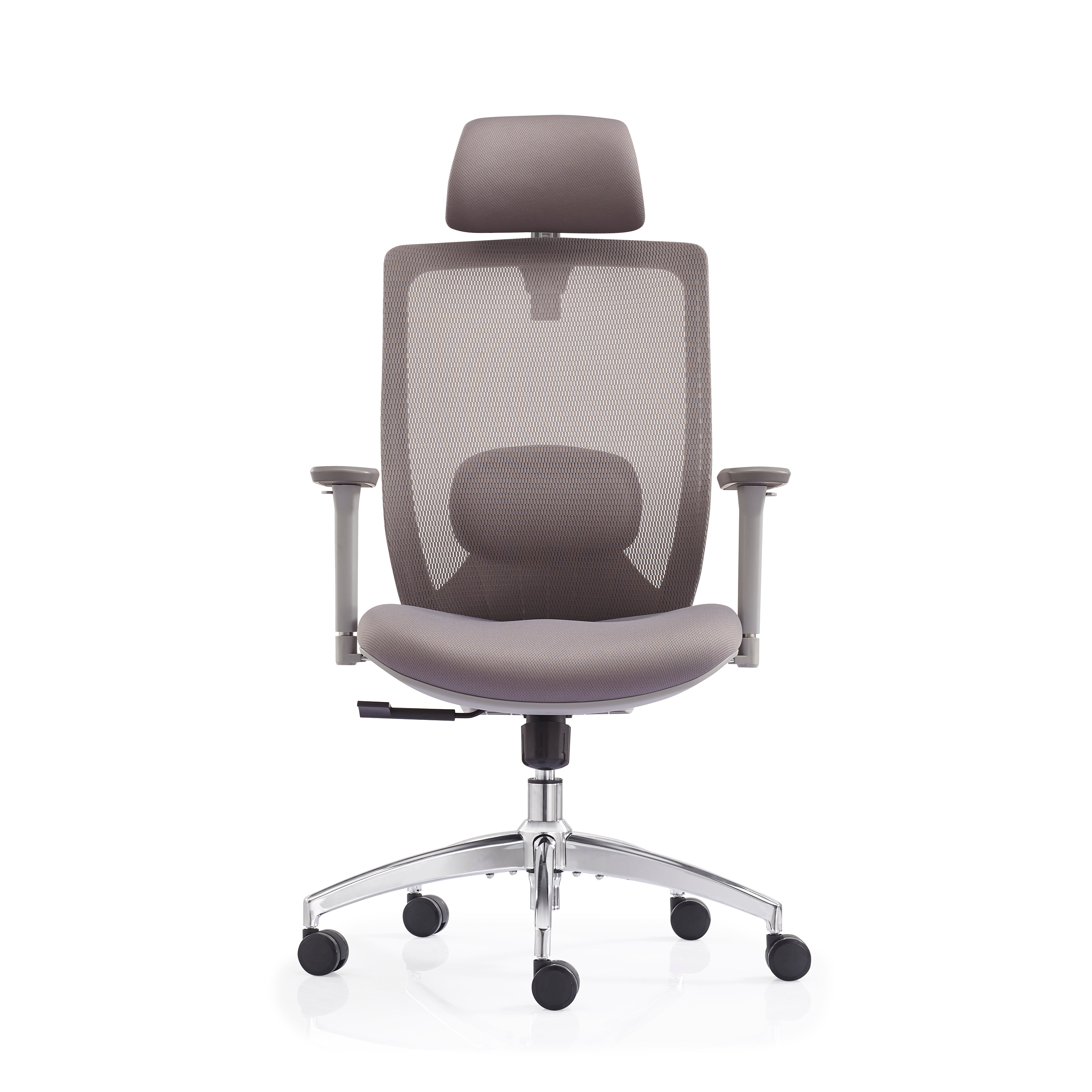 JOHOOFURNITURE Electroplated Removable Base 2D Function Lumbar Support Mesh Chair V6-H08