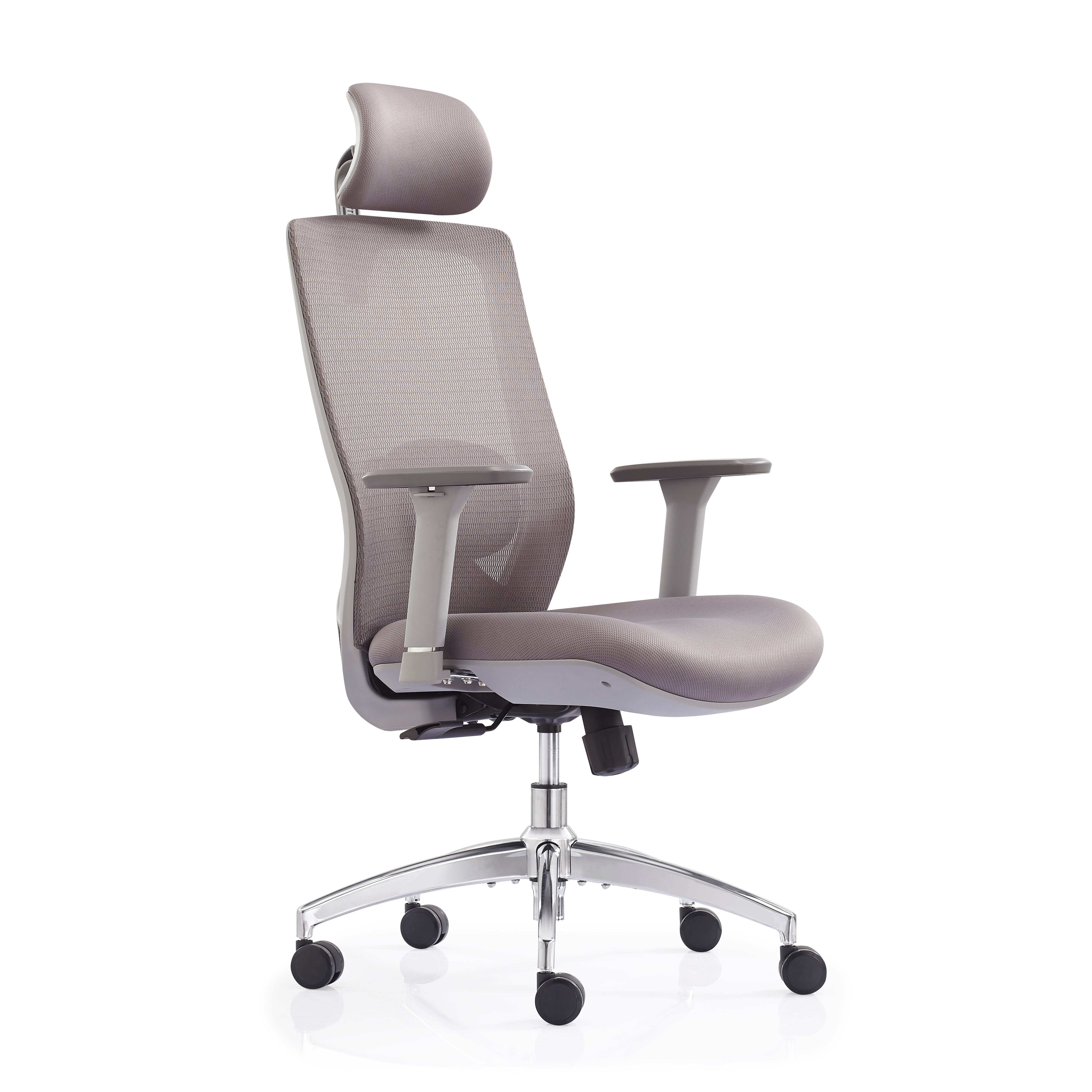 JOHOOFURNITURE Electroplated Removable Base 2D Function Lumbar Support Mesh Chair V6-H08