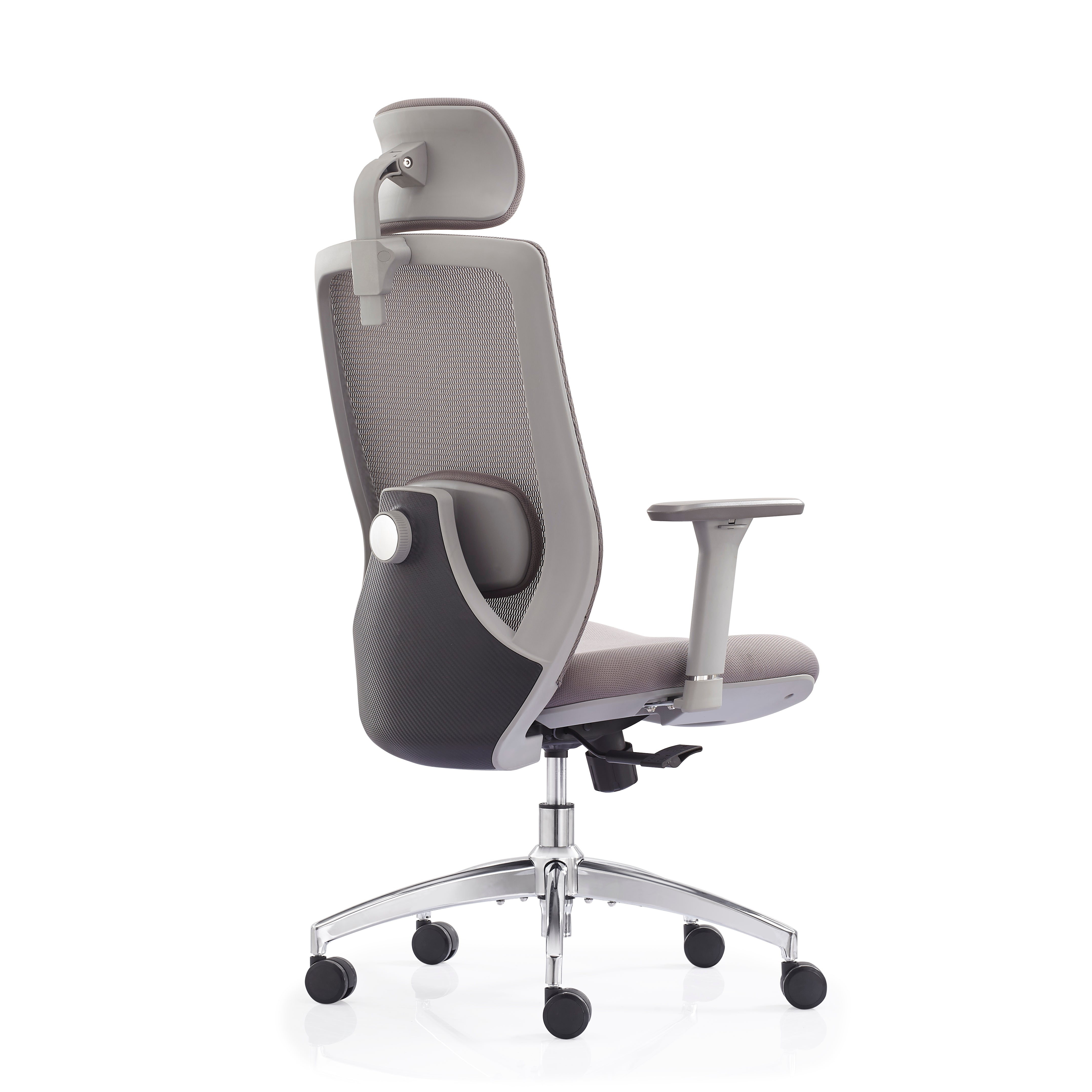 JOHOOFURNITURE Electroplated Removable Base 2D Function Lumbar Support Mesh Chair V6-H08