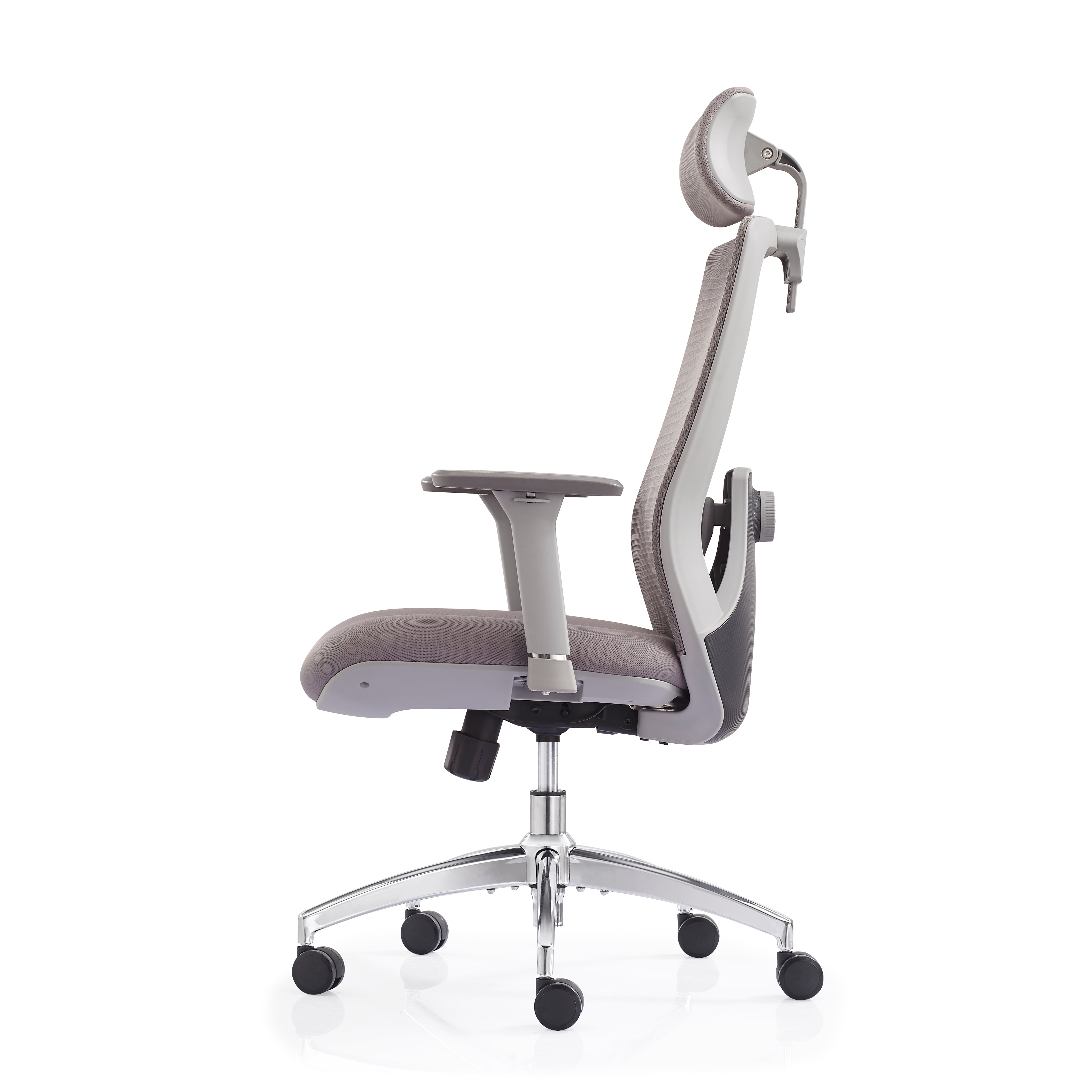 JOHOOFURNITURE Electroplated Removable Base 2D Function Lumbar Support Mesh Chair V6-H08