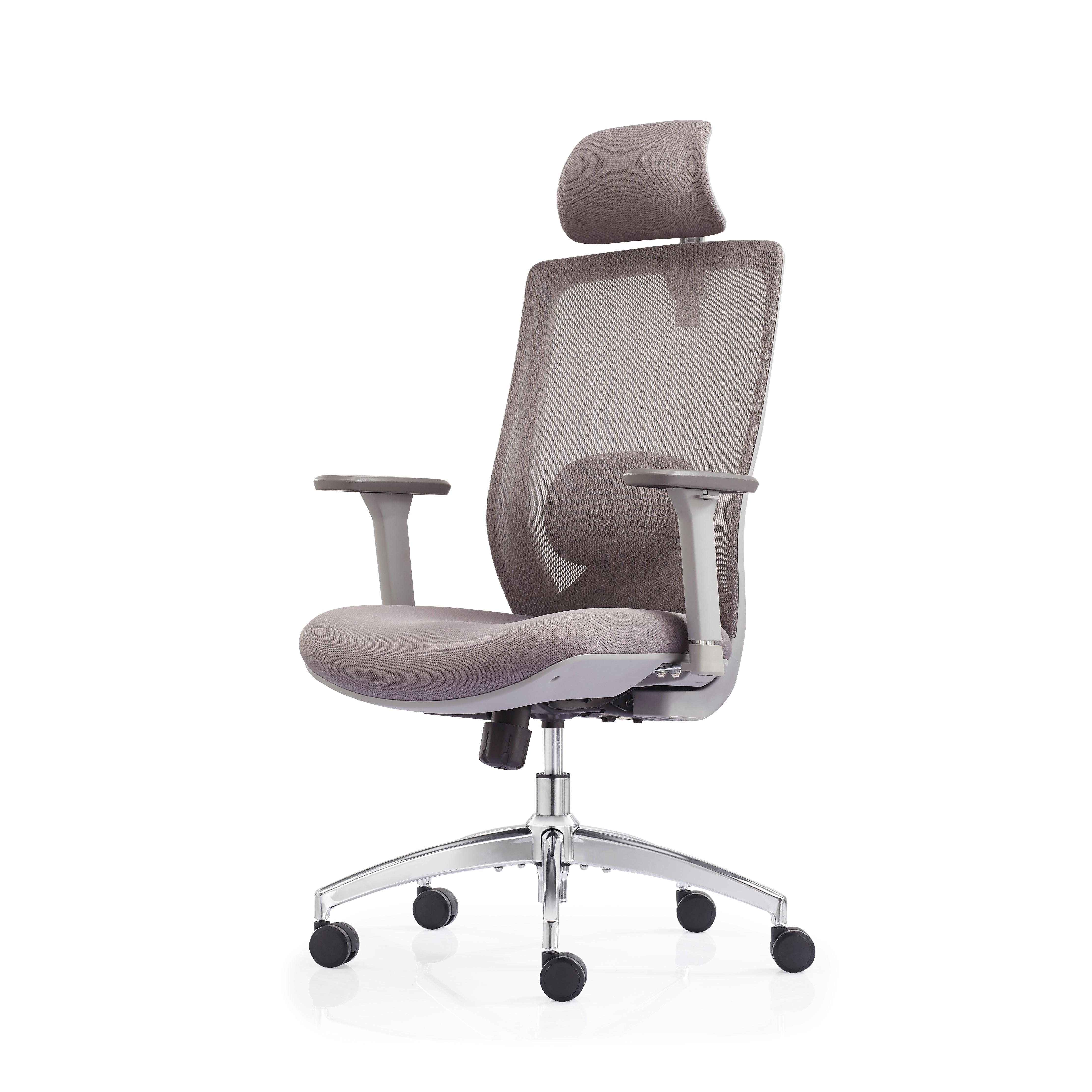 JOHOOFURNITURE Electroplated Removable Base 2D Function Lumbar Support Mesh Chair V6-H08